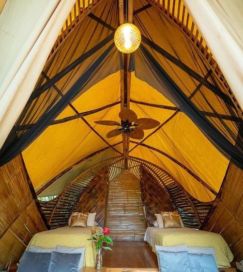 Jungle Gayborhood   Lgbtq Boutique Hotel And Retreat