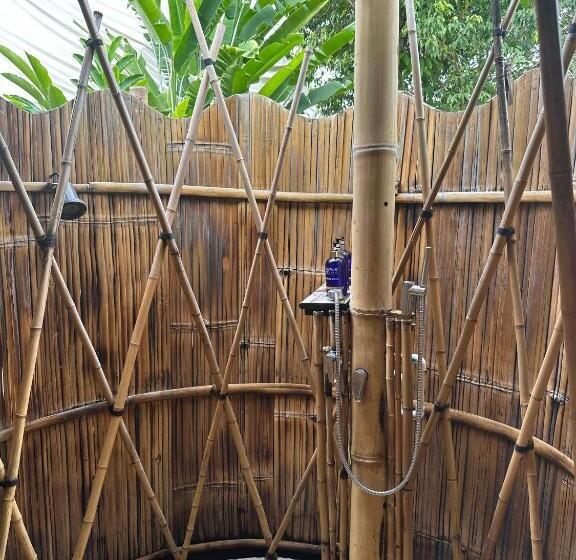 Jungle Gayborhood   Lgbtq Boutique Hotel And Retreat