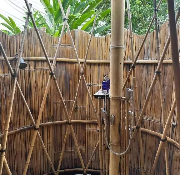 Jungle Gayborhood   Lgbtq Boutique Hotel And Retreat