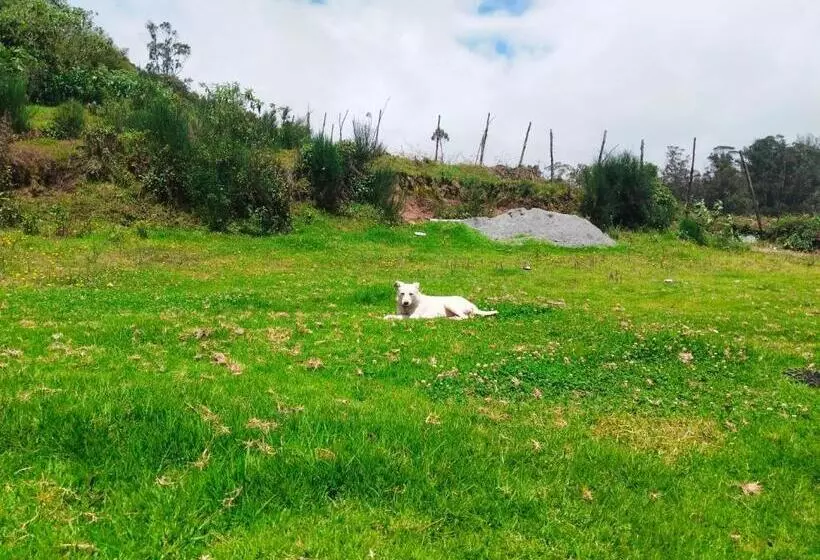 Lomakeskus Bs Dreamz Ooty