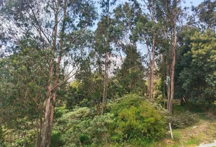 Lomakeskus Bs Dreamz Ooty