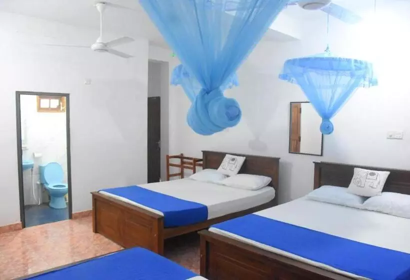 ペンション Queen Inn Anuradhapura