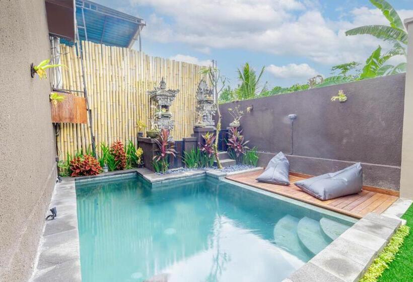 膳宿费 Sekar Bali Homestay