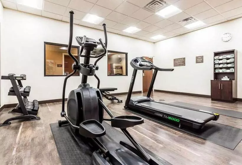 هتل Comfort Suites University Brookings
