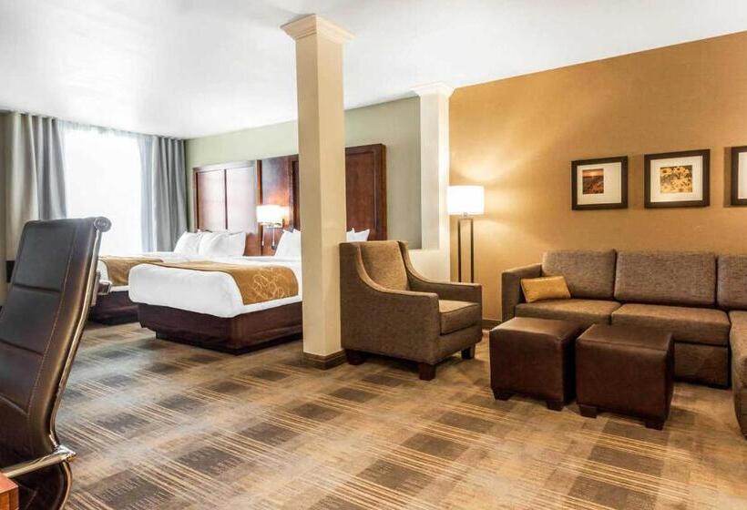 בית מלון כפרי Comfort Suites University Brookings