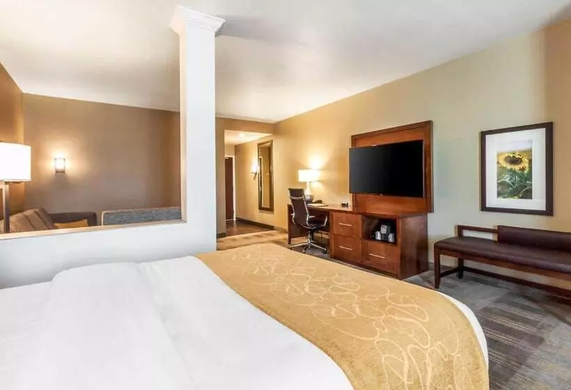 هتل Comfort Suites University Brookings
