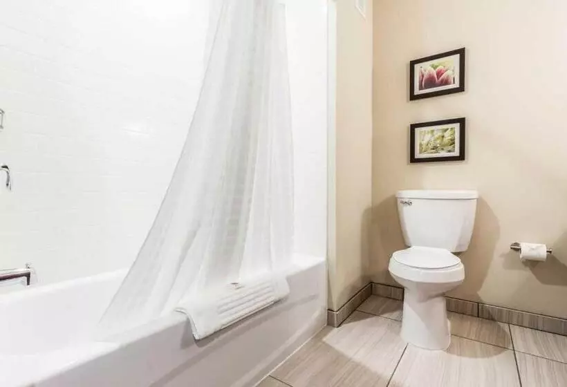 هتل Comfort Suites University Brookings