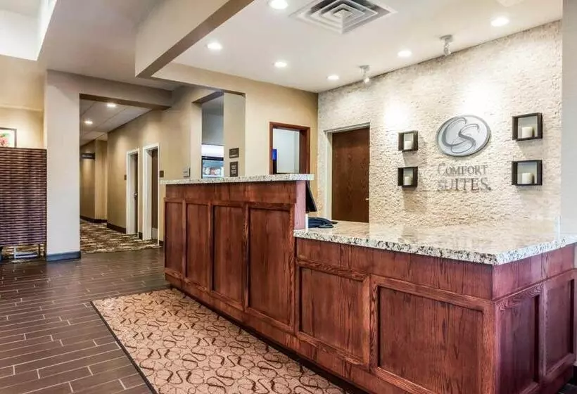هتل Comfort Suites University Brookings