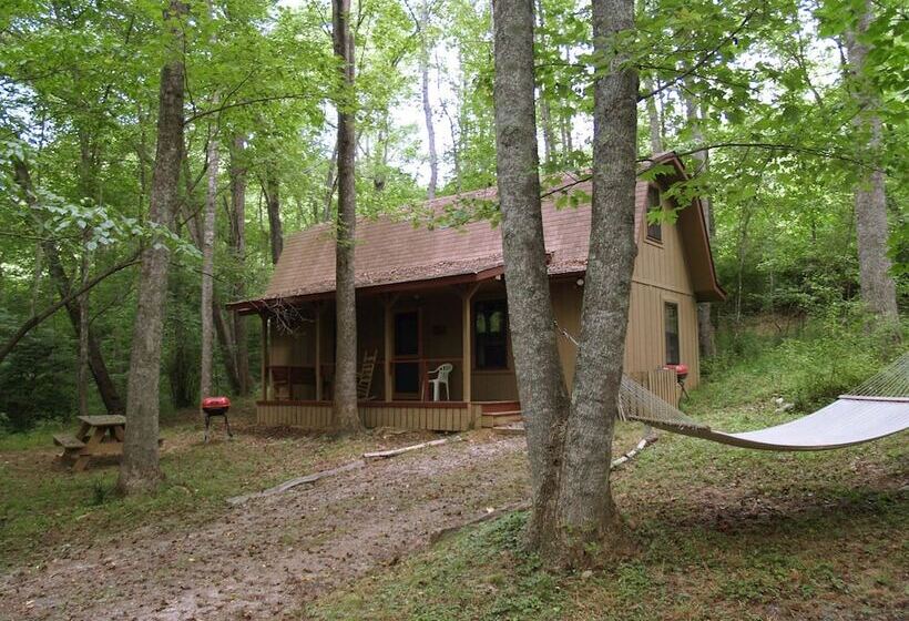 호텔 Henson Cove Place Bed And Breakfast W/cabin