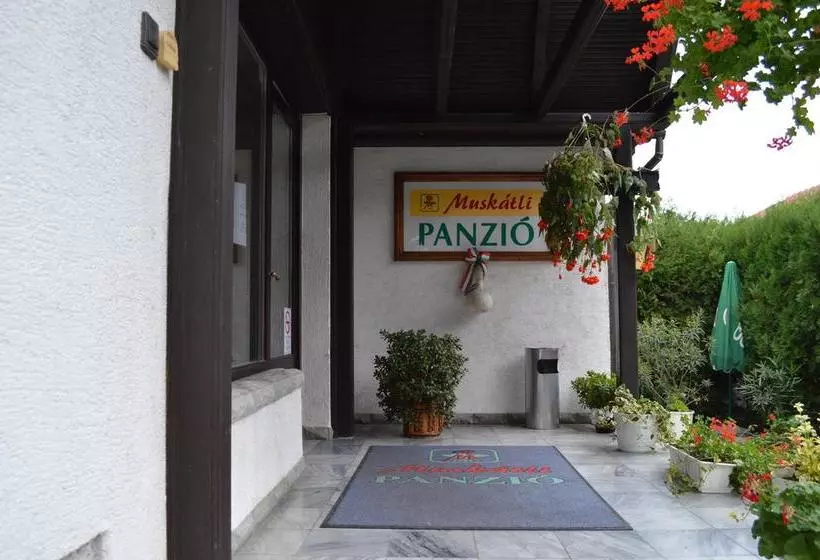 هتل Muskátli Panzió