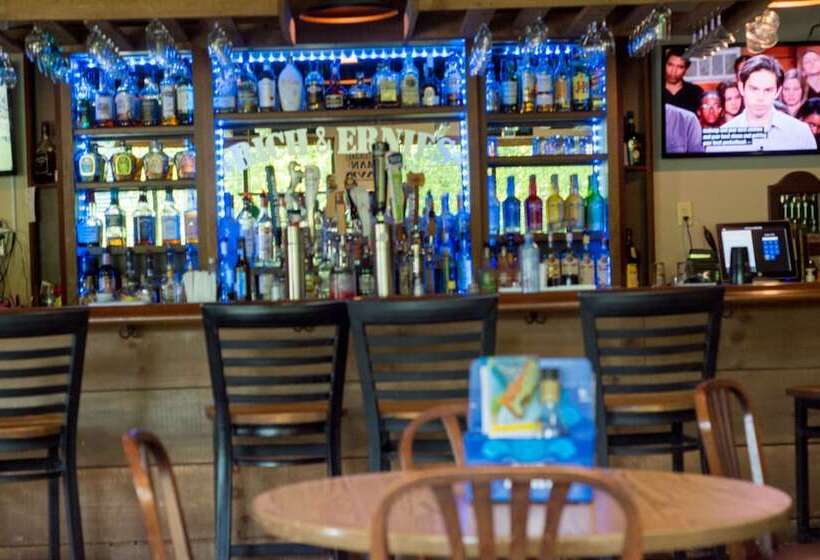 فندق Skyline Lodge