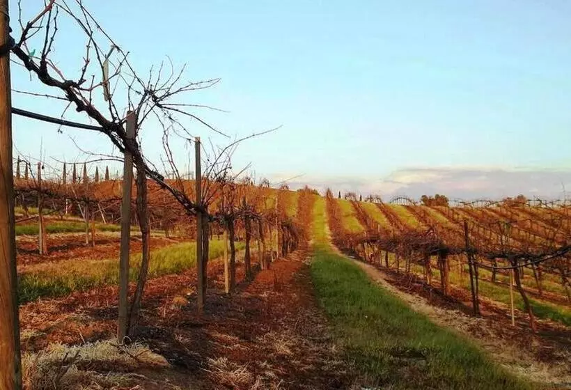 Hotelli The Grape Leaf Inn