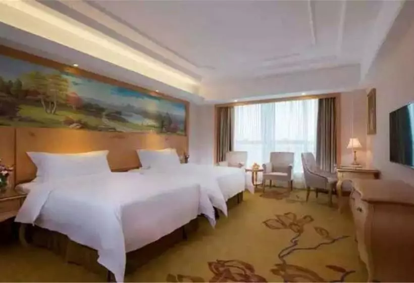 Vienna Hotel Shenzhen Xiashuijing Subway Station