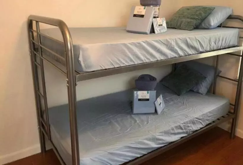 هاستل Miami On A Budget   Free Coffee  Female Dorms   Men Dorms Under New Management