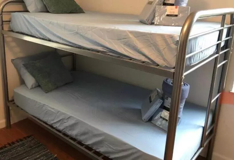 هاستل Miami On A Budget   Free Coffee  Female Dorms   Men Dorms Under New Management