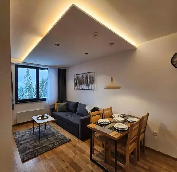 Apart Hotel Zlatni Javor, Apartment 410