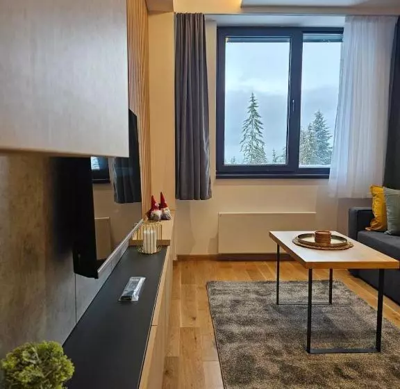 Apart Hotel Zlatni Javor, Apartment 410