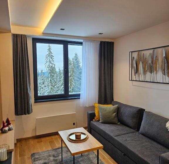 Apart Hotel Zlatni Javor, Apartment 410