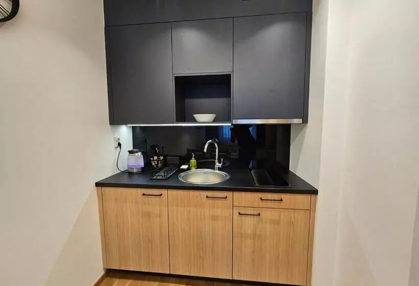 Apart Hotel Zlatni Javor, Apartment 410