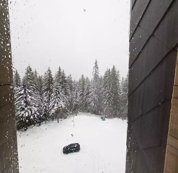 Apart Hotel Zlatni Javor, Apartment 410