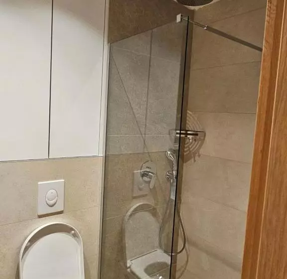 Apart Hotel Zlatni Javor, Apartment 410