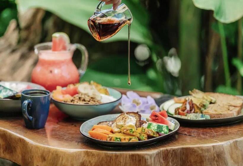 تختخواب و صبحانه Mizaru Seaview Central Manuel Antonio