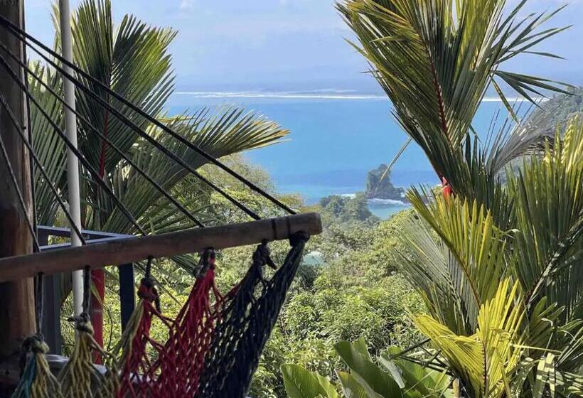 تختخواب و صبحانه Mizaru Seaview Central Manuel Antonio
