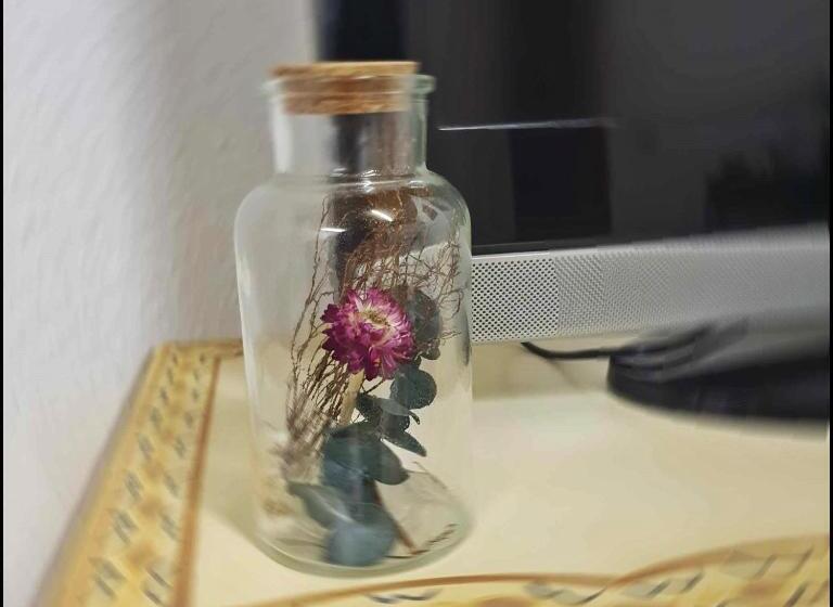 膳宿费 Appartement