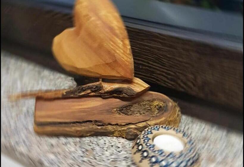 膳宿费 Appartement