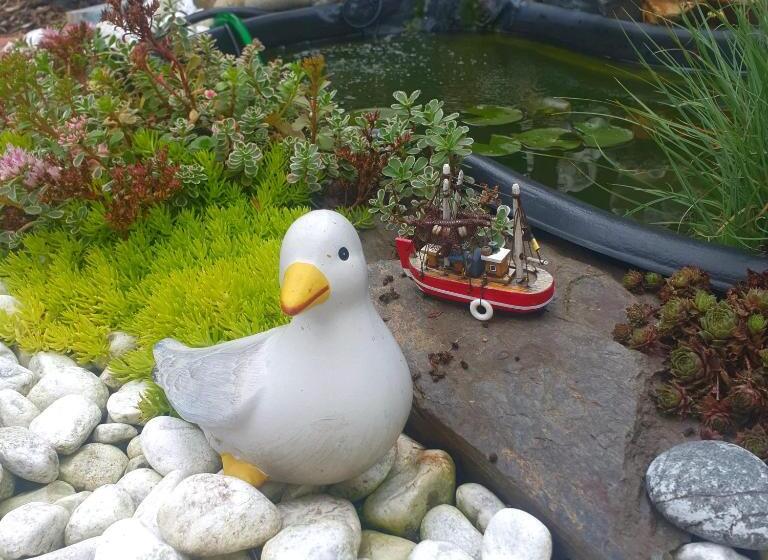 膳宿费 Appartement