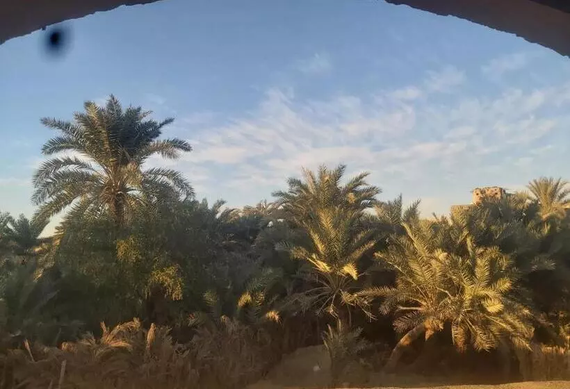 پانسیون Oum House