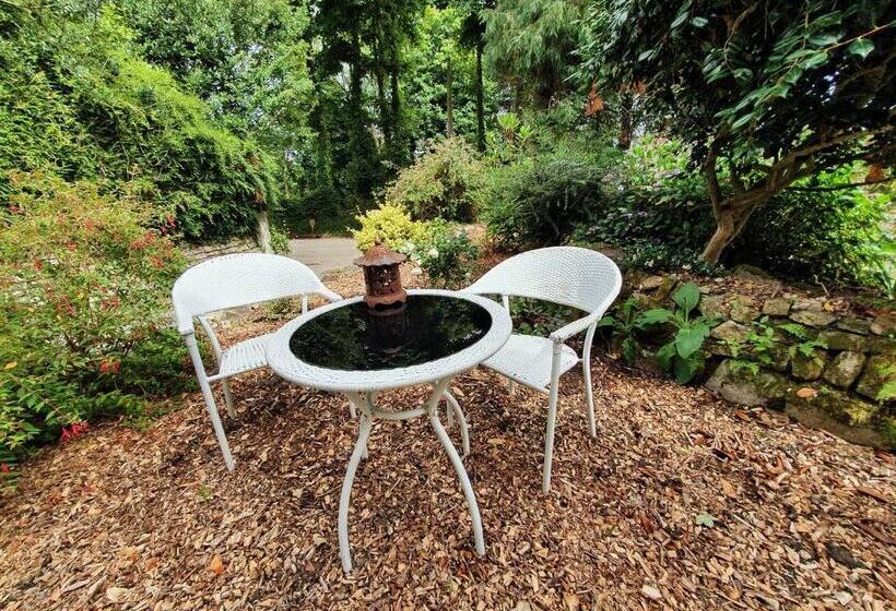 פנסיון Primrose Cottage