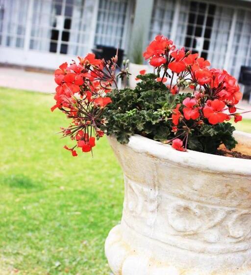 تختخواب و صبحانه Letsema Guest House Klerksdorp