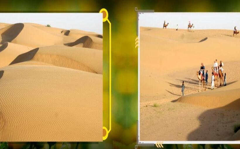 בית מלון כפרי Bluerose Desert Camp Safari