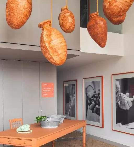 ホテル Solar De Vila Meã