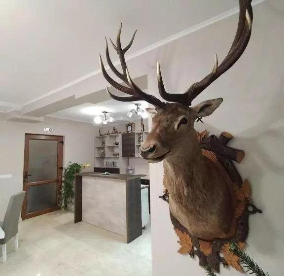ペンション Casa Vânătorilor