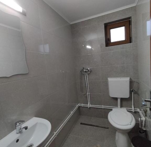 پانسیون Casa Vânătorilor