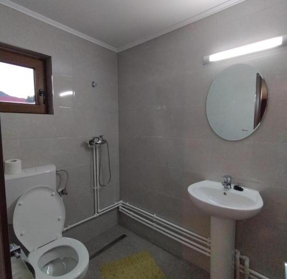 پانسیون Casa Vânătorilor