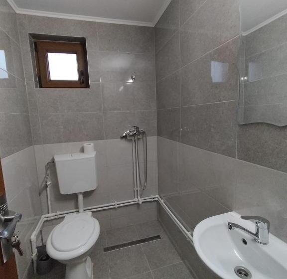 پانسیون Casa Vânătorilor