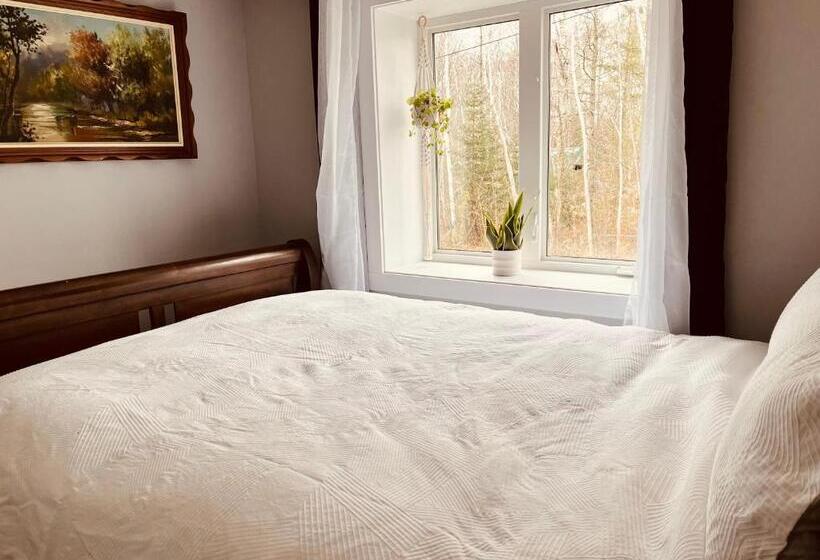 پانسیون Silver Vally Cabin