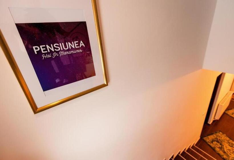 Pensiunea Hai In Maramures