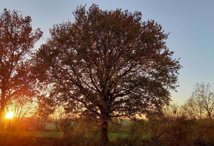 הוסטל Meix Gagnard