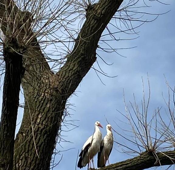 مبيت وإفطار Landgoed De Bongel