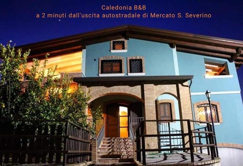 Caledonia B&b