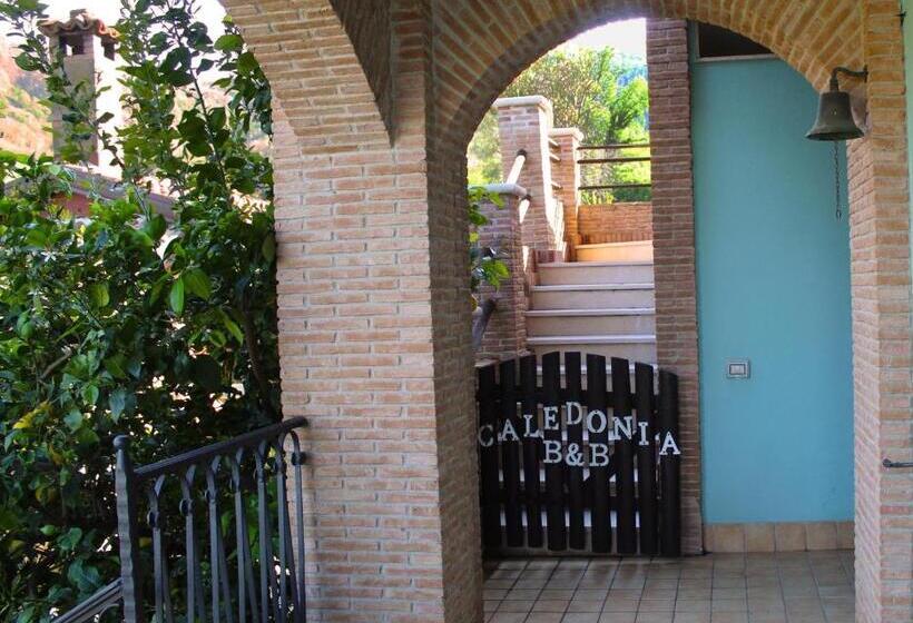 Caledonia B&b
