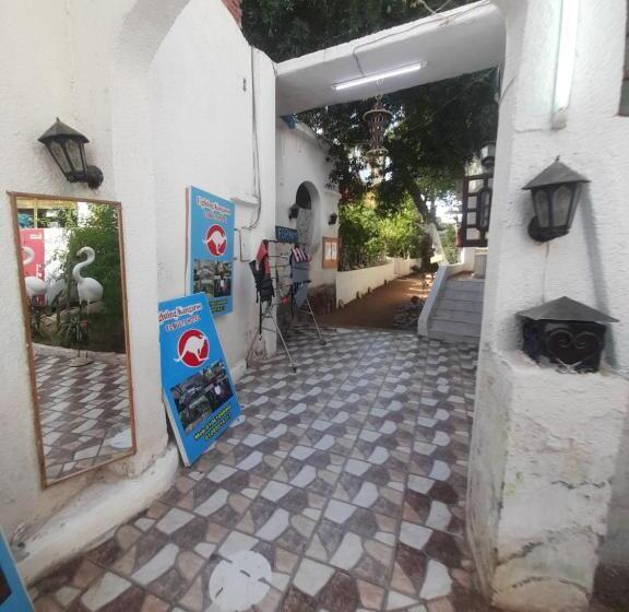 هتل Fighting Kangaroo Camp