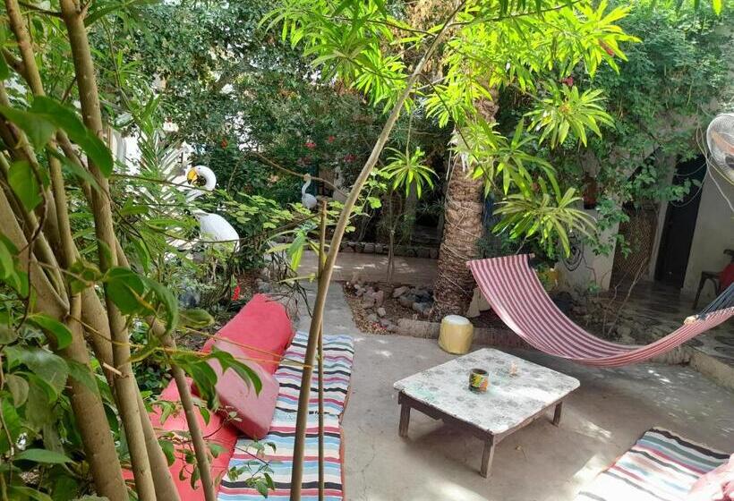 هتل Fighting Kangaroo Camp