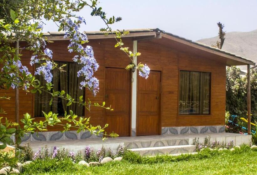 Отель Mi Pequeño Club