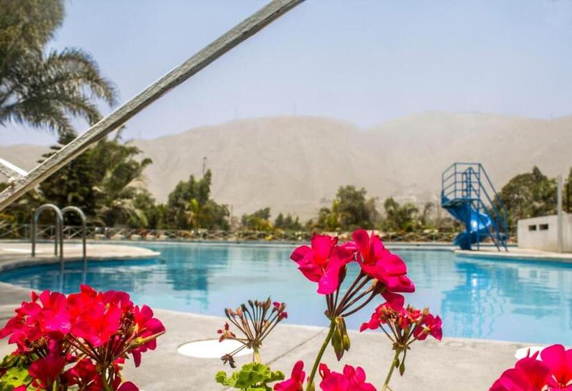 Отель Mi Pequeño Club