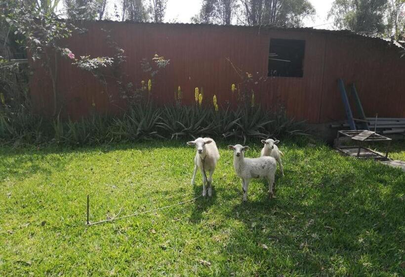 Отель Mi Pequeño Club